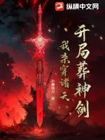 《开局葬神剑，我杀穿诸天》小说封面