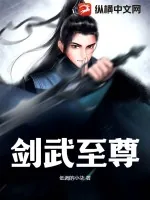 《剑武至尊》小说封面