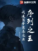 《序列之王：我凌驾于禁忌之上》小说封面