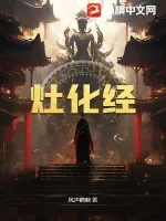 《灶化经》小说封面