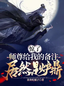 《惊了,师尊给我的备注居然是炉鼎》小说封面