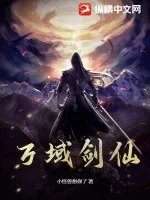 《万域剑仙》小说封面