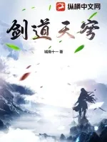 《剑道天穹》小说封面