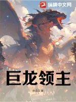 《巨龙领主》小说封面