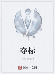 《夺标》小说封面