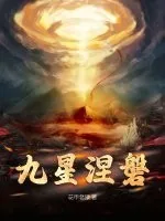 《九星涅磐》小说封面