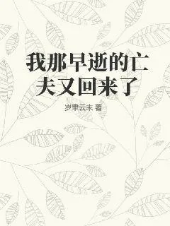《我那早逝的亡夫又回来了》小说封面