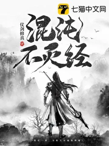 《混沌不灭经》小说封面
