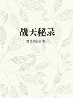《战天秘录》小说封面
