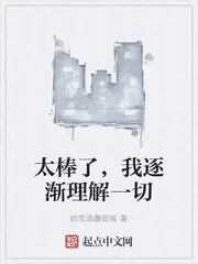 《太棒了，我逐渐理解一切》小说封面
