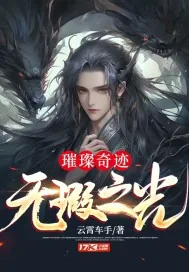 《璀璨奇迹：无瑕之光》小说封面