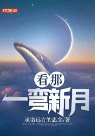 《看那一弯新月》小说封面