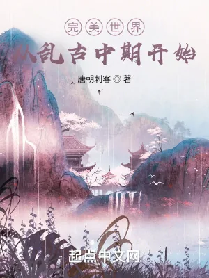 《完美世界：从乱古中期开始》小说封面