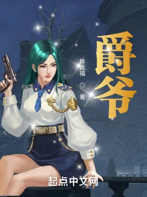 《爵爷》小说封面