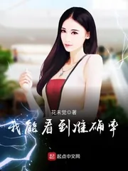 《我能看到准确率》小说封面