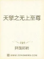 《天擎之无上至尊》小说封面