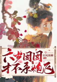 《六岁囡囡才不系炮飞》小说封面