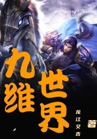 《九维世界》小说封面