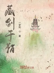《藏剑于鞘》小说封面