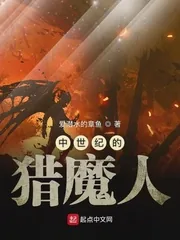《中世纪的猎魔人》小说封面
