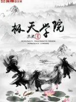 《极天学院》小说封面