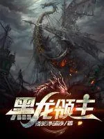 《黑龙领主》小说封面
