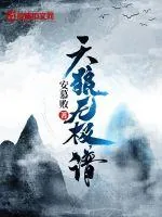 《天狼无极谱》小说封面