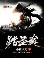 《踏圣途》小说封面