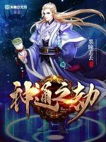 《神通之劫》小说封面