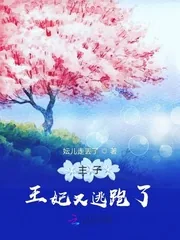《主子王妃又逃跑了》小说封面