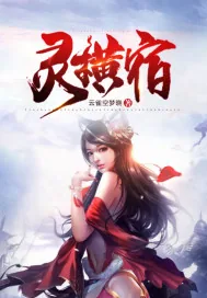 《灵横宿》小说封面