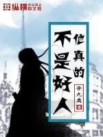 《他真的不是好人》小说封面