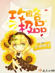 《攻略极品》小说封面