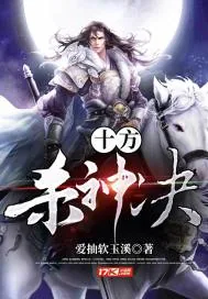 《十方杀神决》小说封面