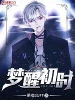 《梦醒初时》小说封面