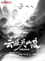 《云雁关山度》小说封面