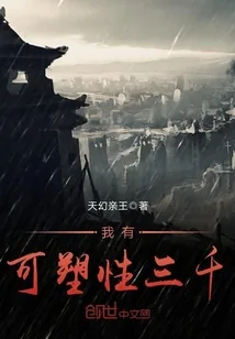 《我有可塑性三千》小说封面