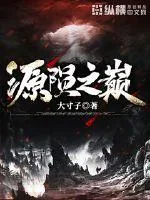 《源陨之巅》小说封面