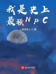 《我是史上最强NPC》小说封面
