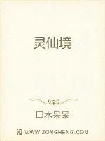 《灵仙境》小说封面