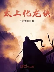 《太上化龙诀》小说封面