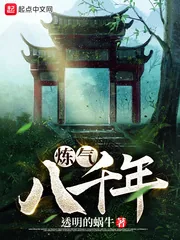 《炼气八千年》小说封面