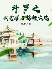 《斗罗之我觉醒了锦鲤武魂》小说封面