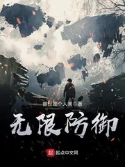 《无限防御》小说封面
