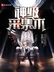 《神级采集术》小说封面