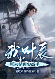 《我，叶辰原来是顶尖高手》小说封面
