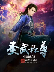 《圣武称尊》小说封面