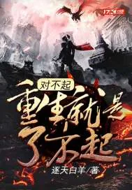 《对不起，重生就是了不起》小说封面