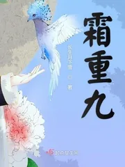 《霜重九》小说封面