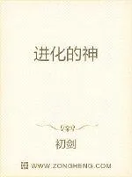 《进化的神》小说封面